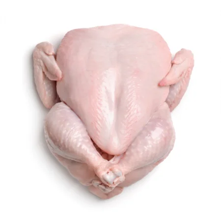 frozen chicken (1).png