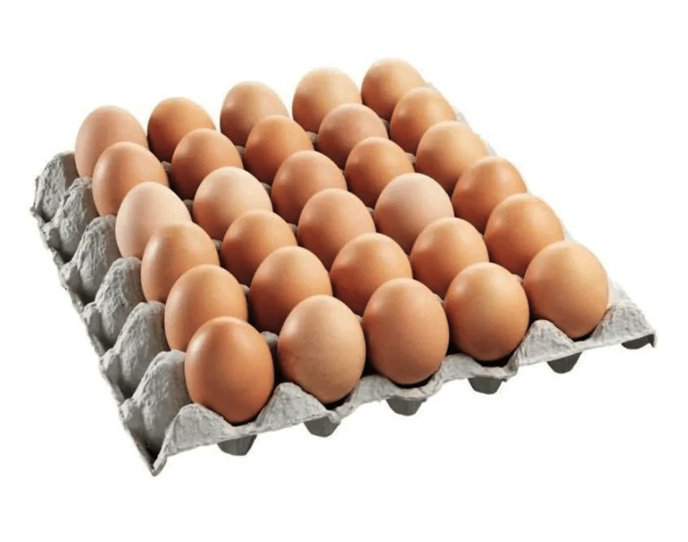 Tray-of-Eggs.png