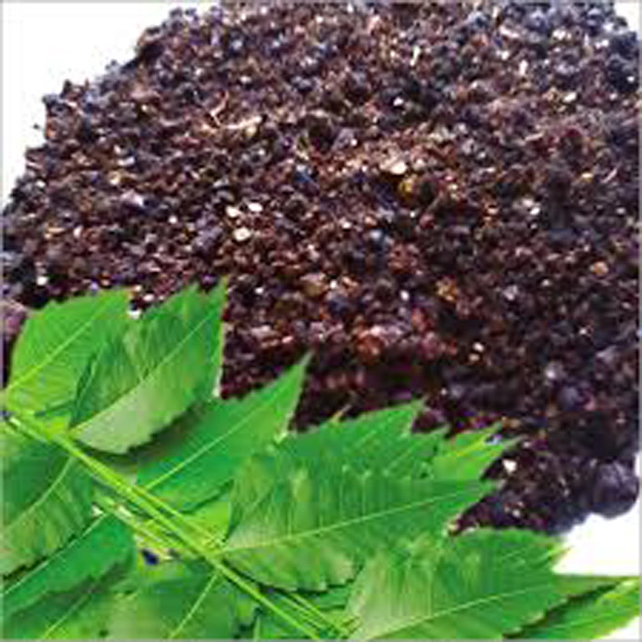 Neem cake , neem oil manufacturing