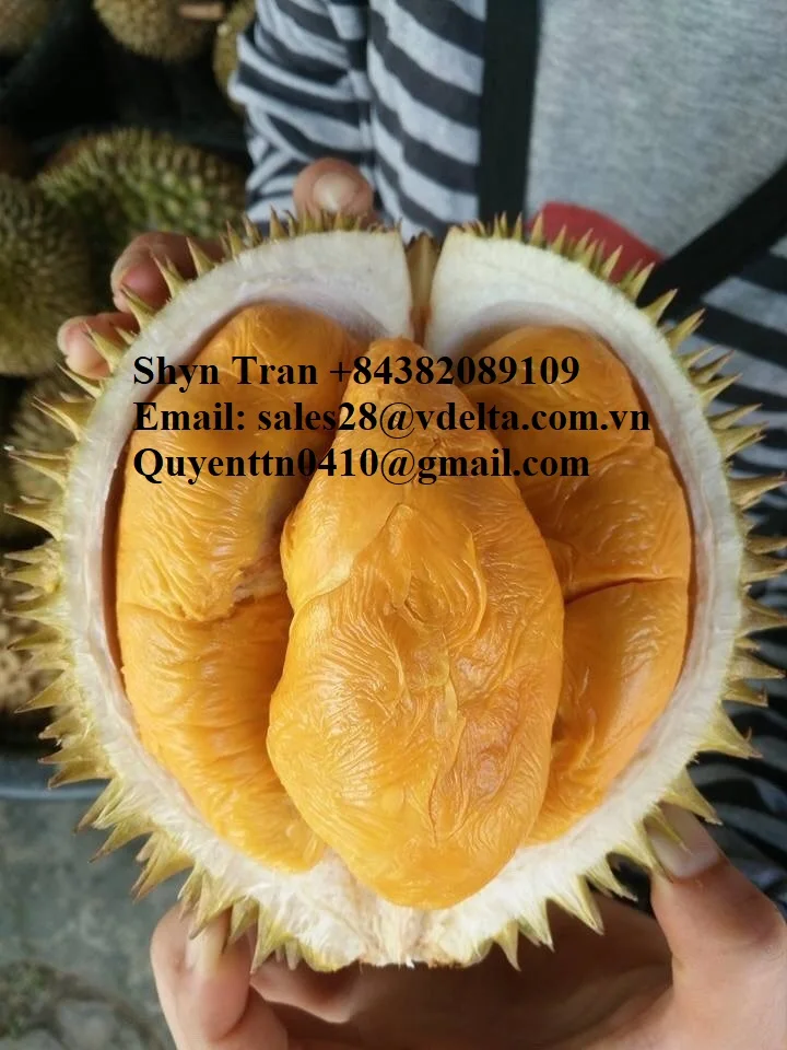 Durian botak
