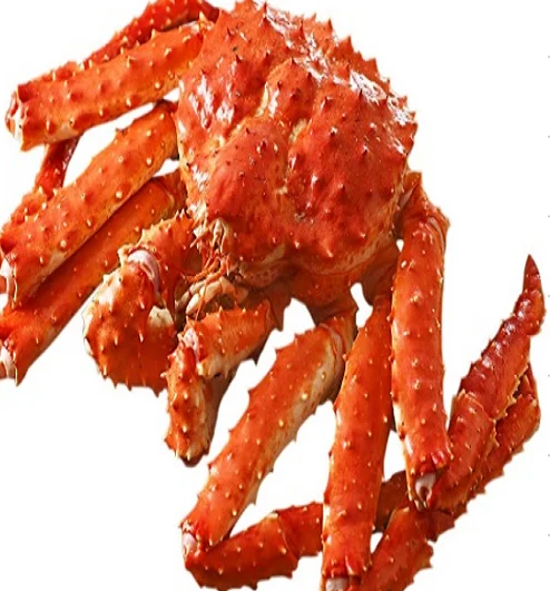 12 (1).png