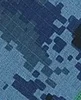 Bluecam