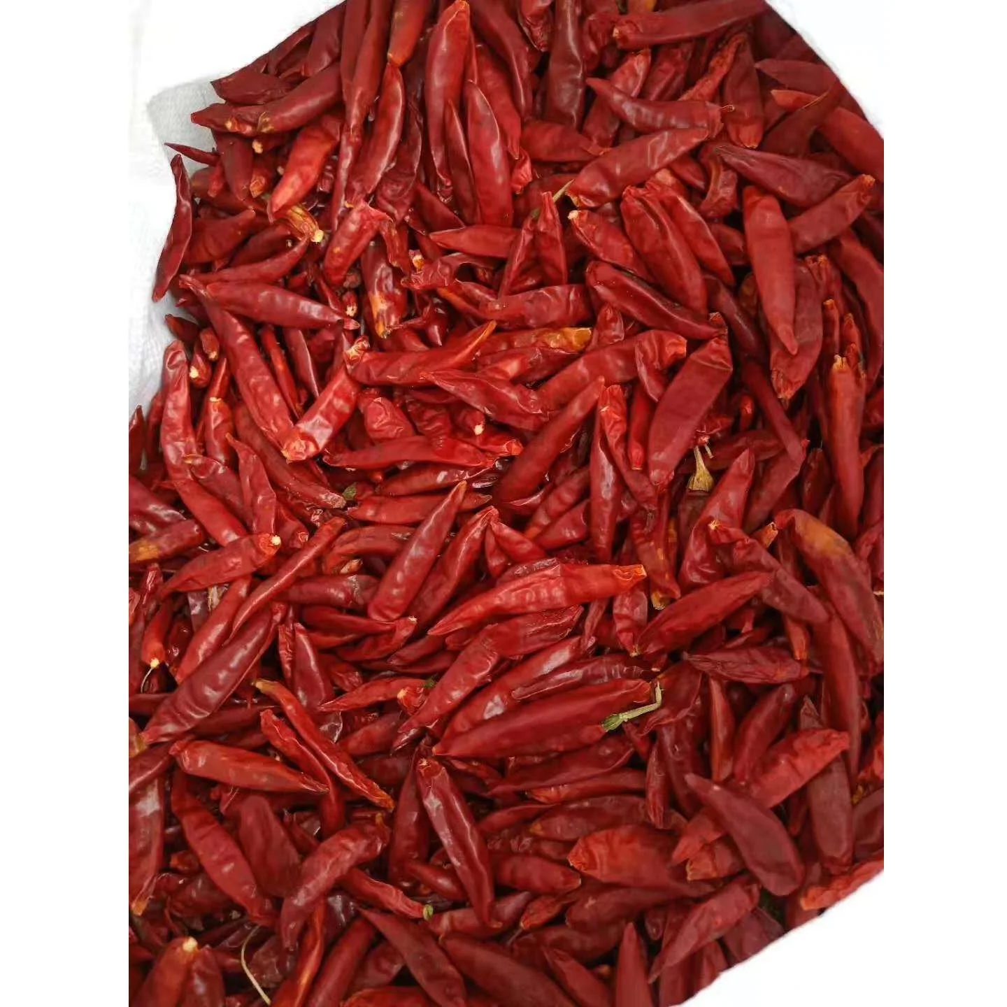 hot spicy dried chili pepper with natural bright color best