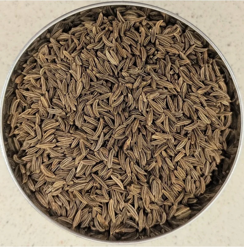 Bitter Cumin Shah Jeera In English Buy Cumin Seed Price For Cumin Seeds Price For Cumin Seeds Product On Alibaba Com