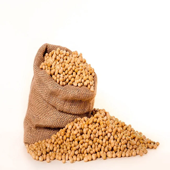 Soyabeans.jpg