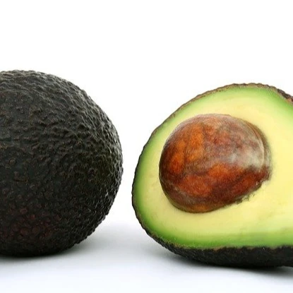 Mexico avocado from US will