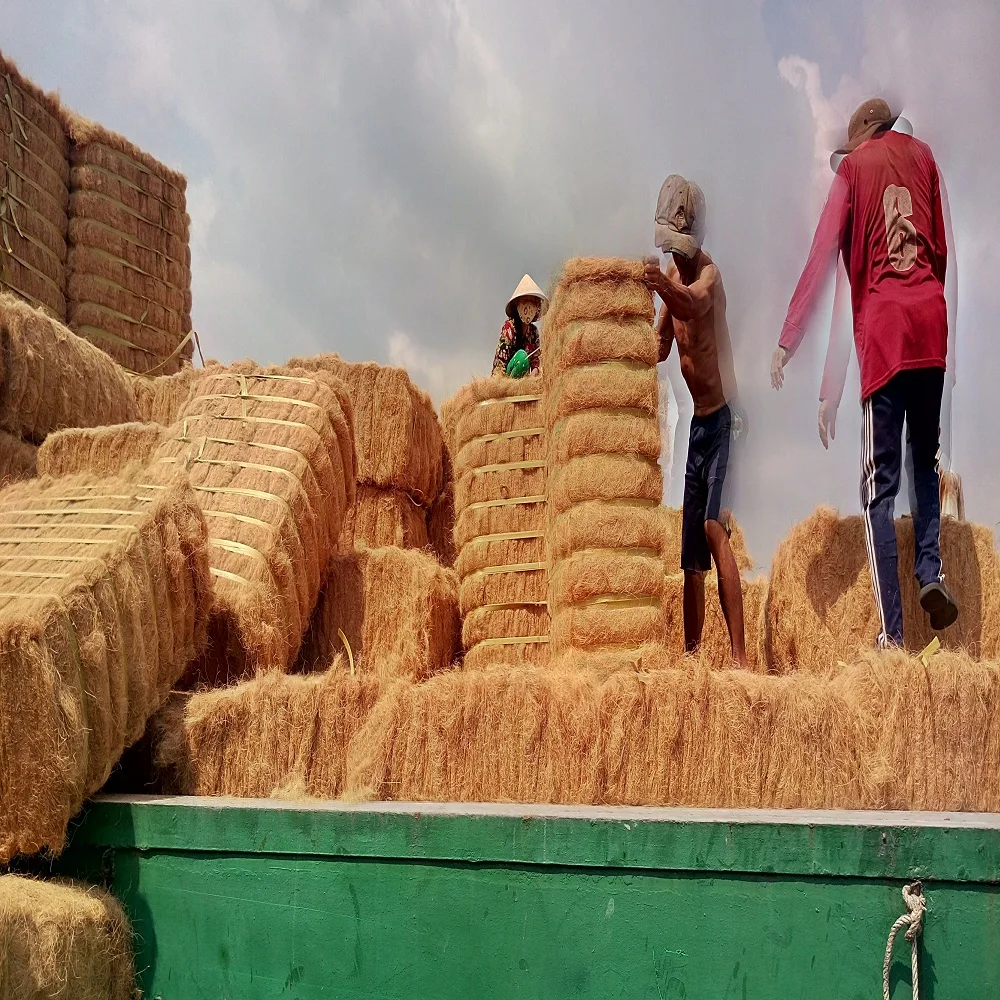 TOP RATED !!! Coconut Fiber 100% Natural Coconut Fiber for mattress production Brownish yellow made in Viet Nam