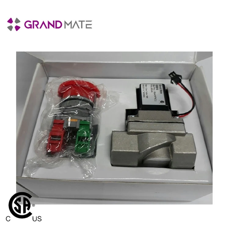 Gas Detector Pressure Regulator With Auto Shut off Valve
