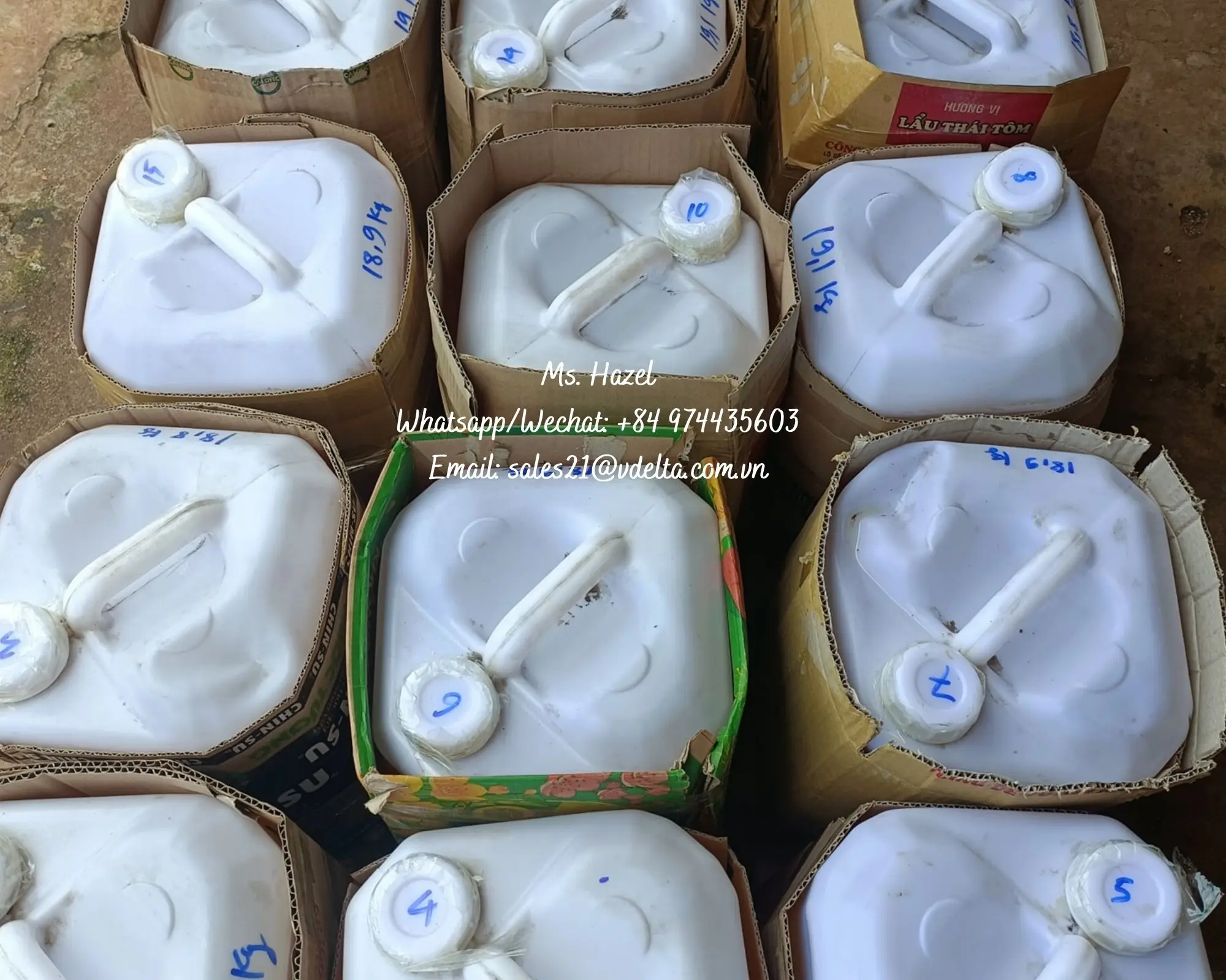 100% органическое чистое масло сачи-инчи высшего качества/масло Сач-инчи первого отжима 46% омега-3/мс. Орешник (+ 84)