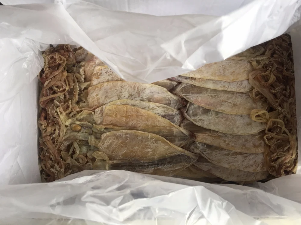 Competitive Price Cuttlefish Bone Powder/dried Cuttlefish Bone