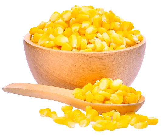 2 (1).png