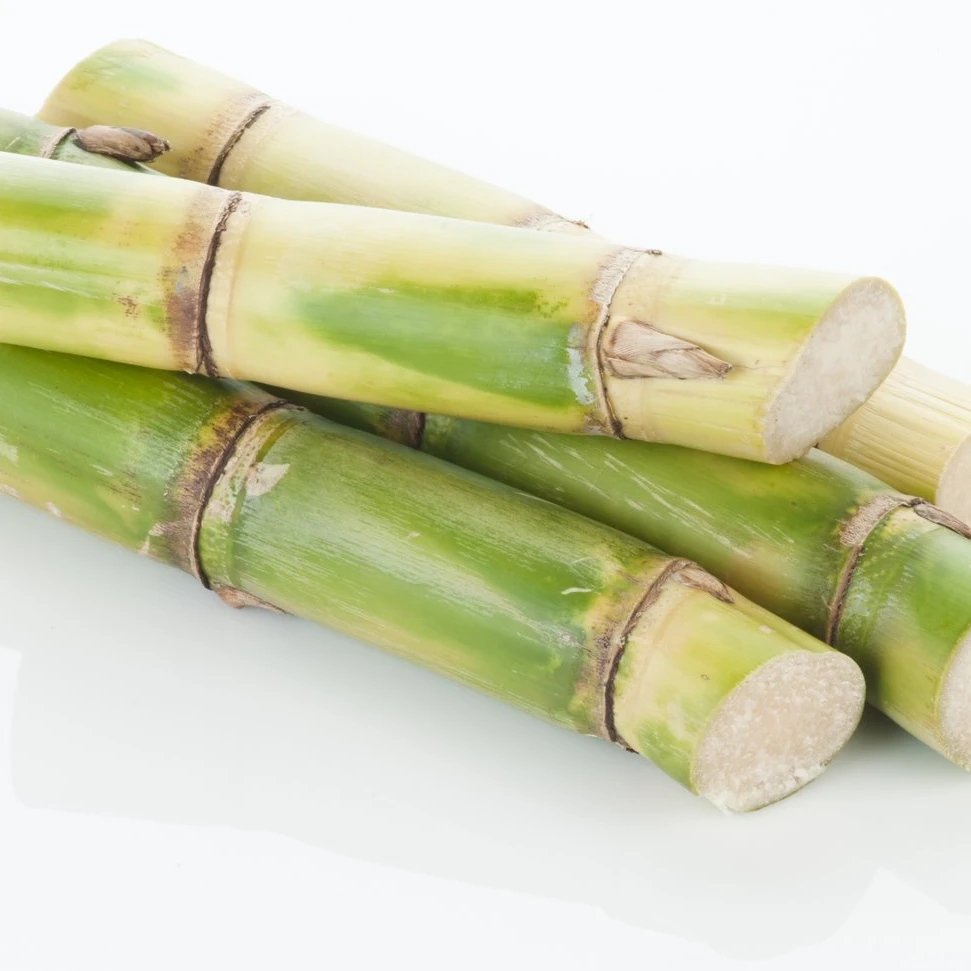 fresh sweet frozen sugar cane from viet nam/fresh sugarcane