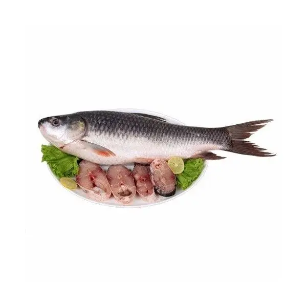 fresh frozen rohu fish whole round/competitive price