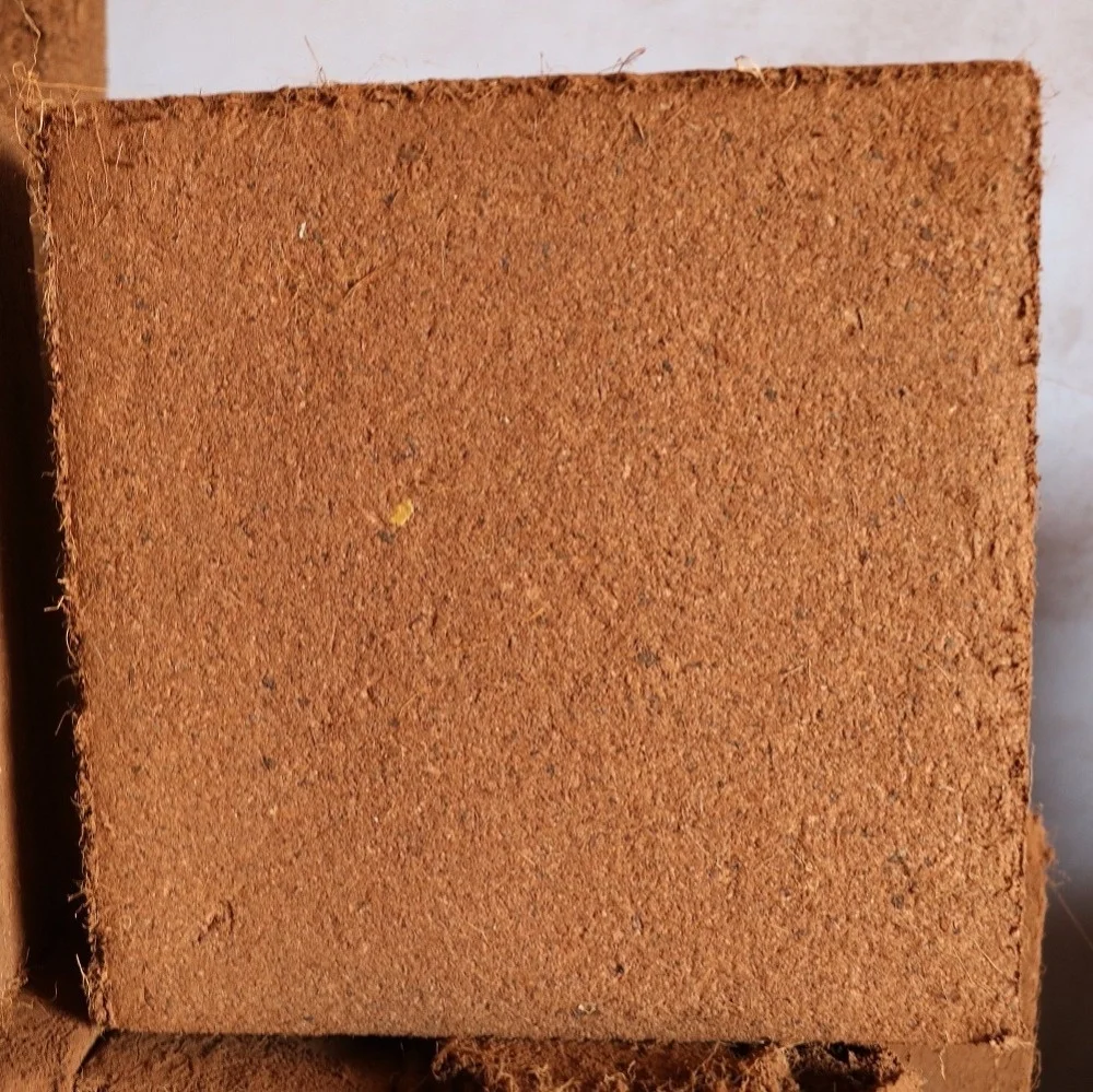 Biococco Blocchi 5 Kg Per Terrari - Humus Di Cocco, Sviluppa Fino A 50 Litri, Per Rettili E Anfibi - Foto 8