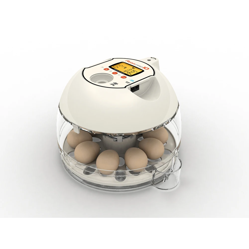Купить инкубаторы кур. Инкубатор RCOM 10 Pro-Plus. Инкубатор RCOM Mini. Инкубатор для яиц RCOM. Инкубатор Egg incubator.