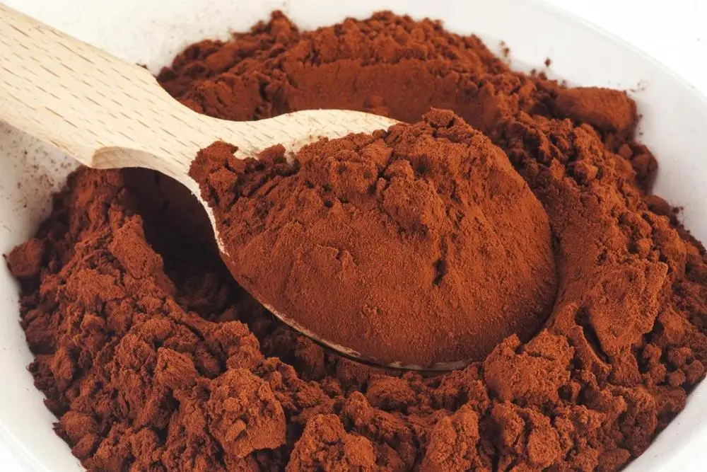 Какао порошок Cacao Powder