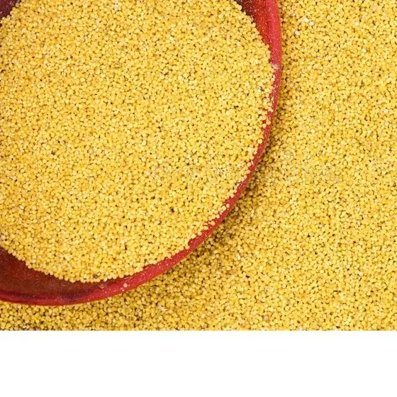 Natural Organic Seed Yellow bulk millet for sale