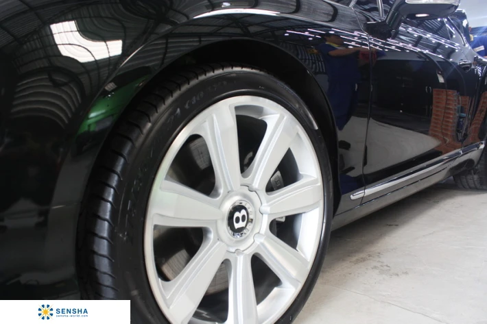 OLEAGINOUS TIRE WAX PRO 16L глазированное покрытие для автомобильной шины для бизнеса