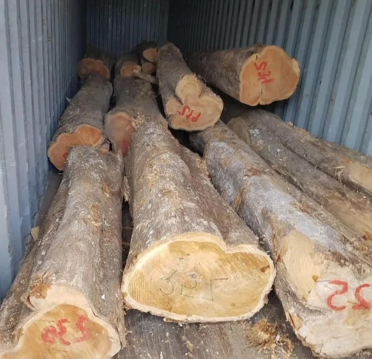 100% Pure Hout Logs Houtblokken/grenen Houtblokken Buy Grenen Houtblokken,Myanmar Teak Log,Kunstmatige Hout Log Product Alibaba.com