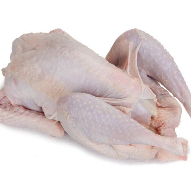 54235 (2).png