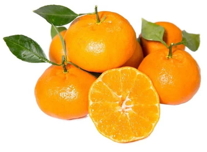 Pure Organic  Whole sale Cheapest  Factory price Fresh Mandarin Orange tangerine