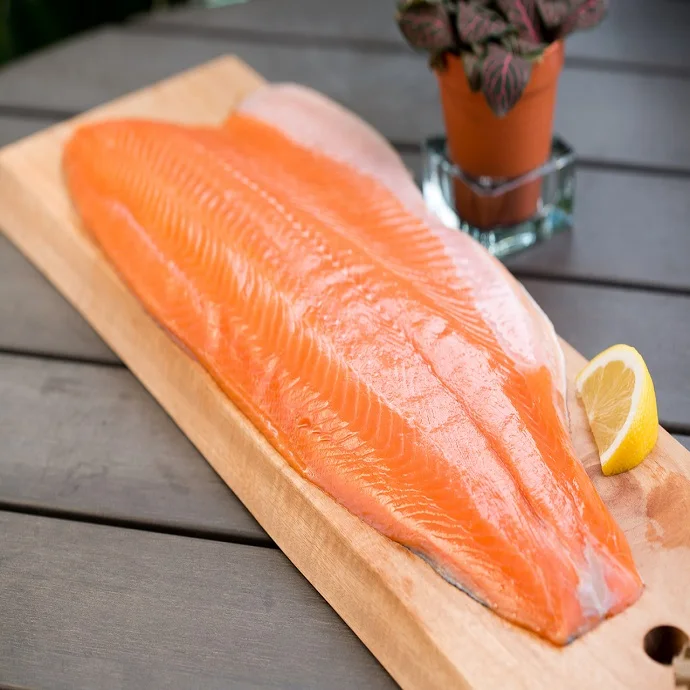 fresh frozen salmon fish - best quality