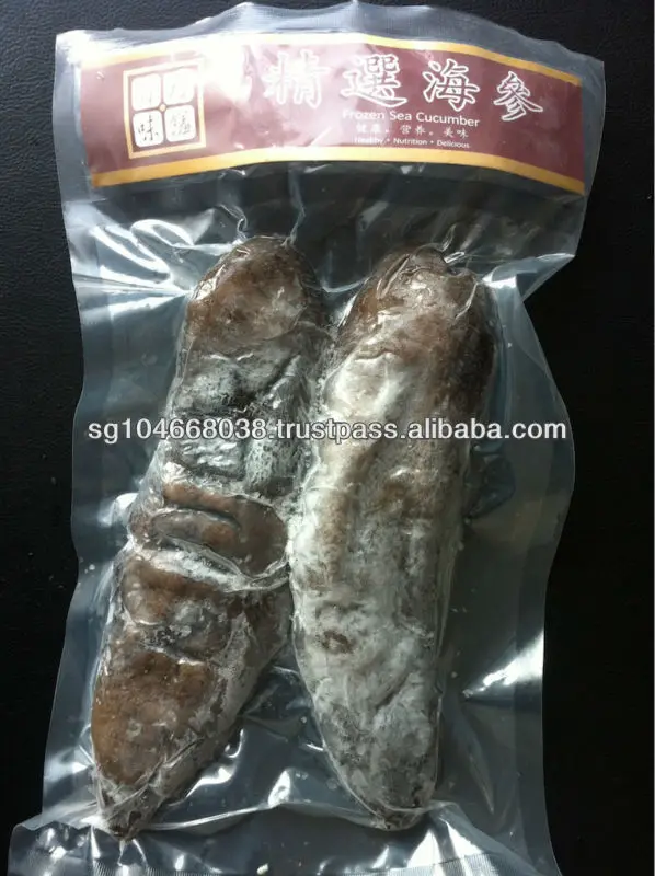 High Quality Russian Frozen Sea Cucumber Bag Style Packaging Organic