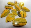 same as picture