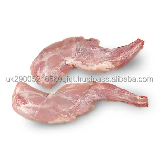 rabbit1.jpg