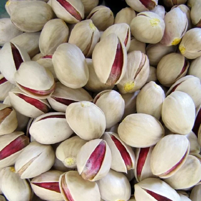 pita9.jpg