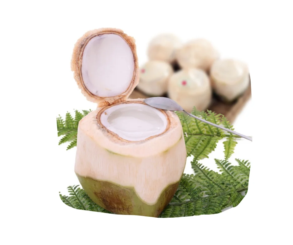 best quality hainan coconut jelly for fashion drink /natalie  84