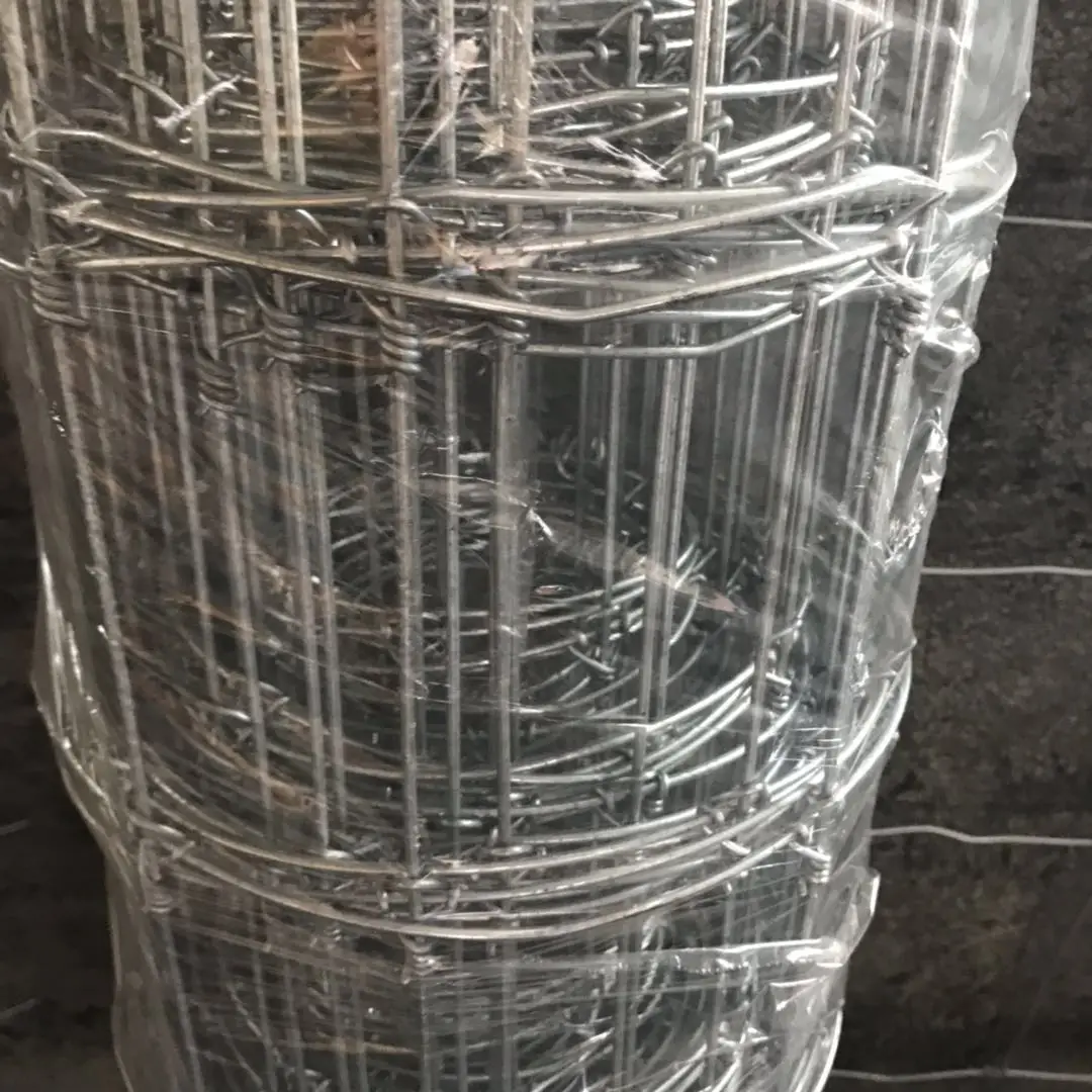 Hinged Joint Galvanized Wire Mesh Netting Deer Fencing Mesh Roll Fixed