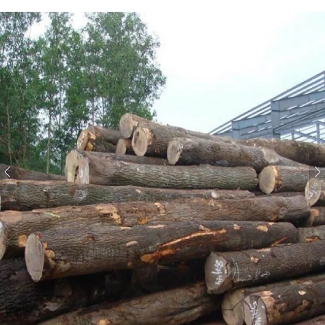 Ebony (Black Ebony) Wood Logs Suppliers, Wholesalers, Exporters