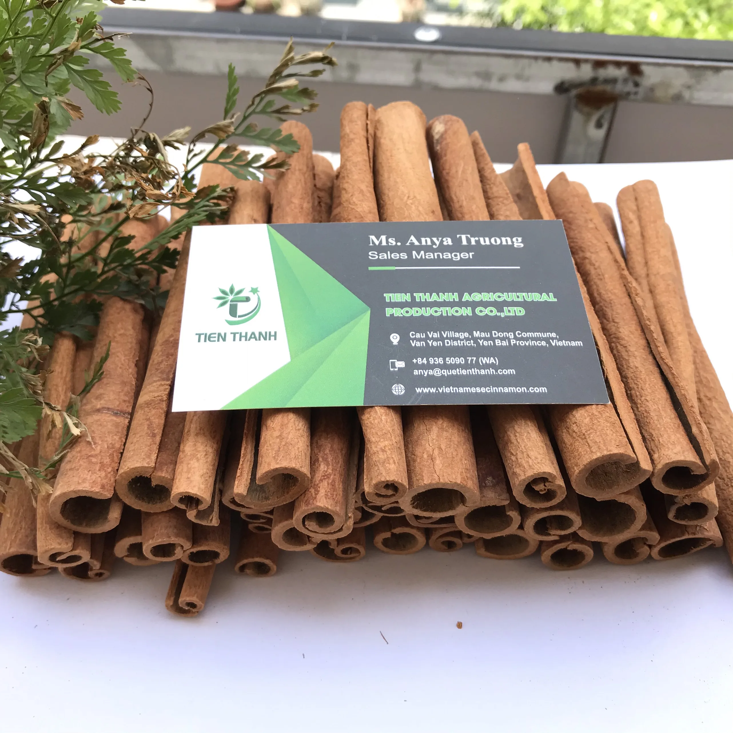 Карандаш корицы/укрытая Корица/Canela de Cassia