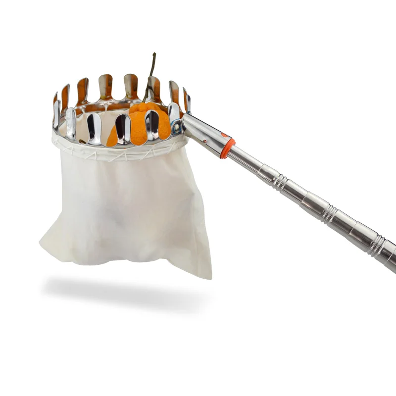 Разумная цена, длинная ручка, регулируемый инструмент, садовая корзина для обрезки фруктов