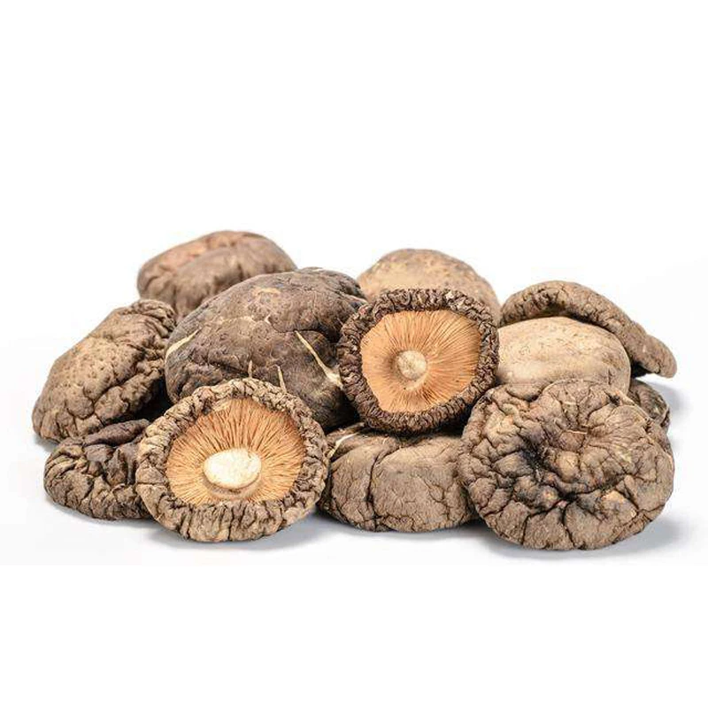 high quality dried shitake mushroom and organic dried mushroom