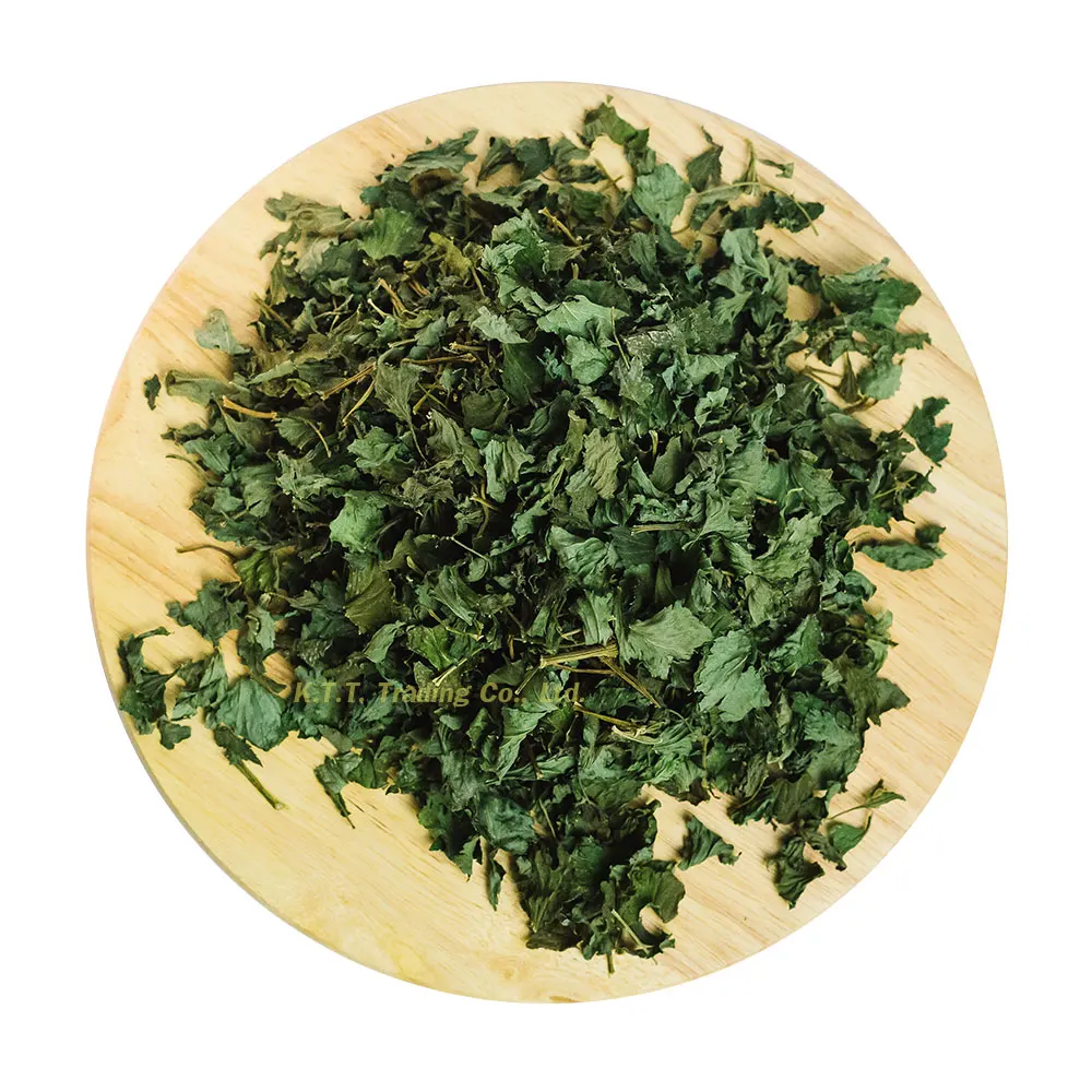 high top quality thailand organics white mugwort celery - buy mu