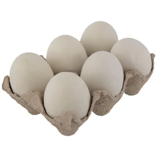 fresh ostrich eggs buy ostrich eggs in johannesburg south africa from j and sharp holdings pty ltd on where to buy fresh ostrich eggs near me