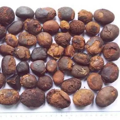 gallstones ox and cow for sale - buy caw gall