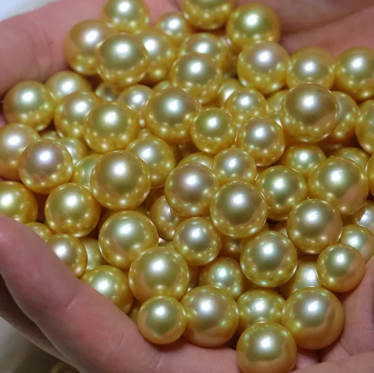 Gold Golden Real Genuine Natural Sea Pearls Golden Gold Golden Real