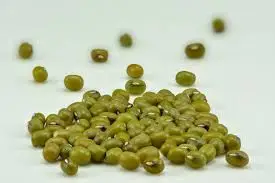 mung bean.jpg