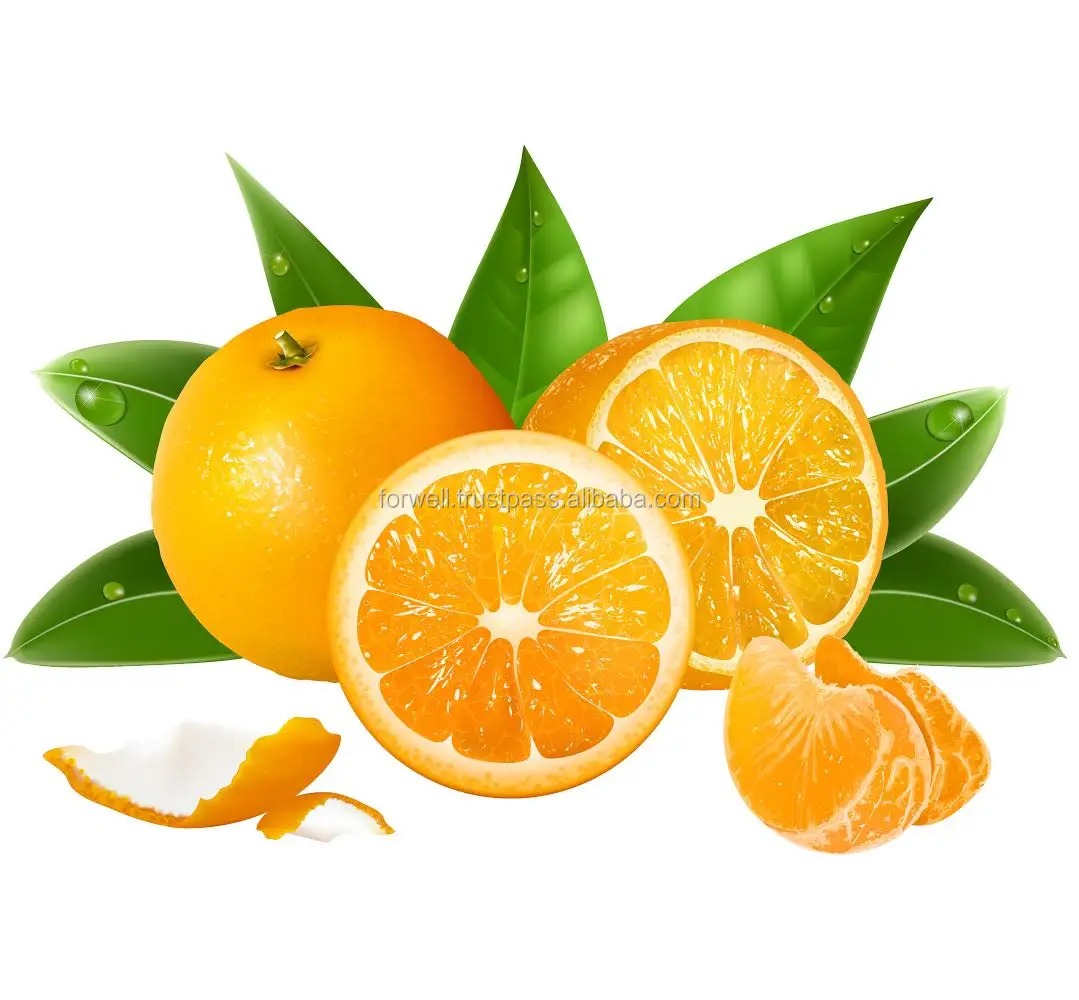 recent high quality oranges from egypt with cheap price for sale