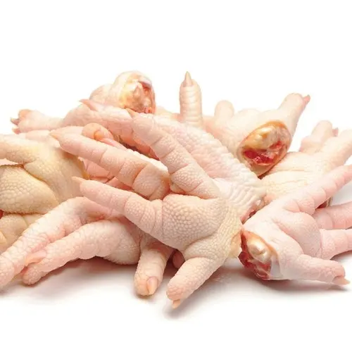 håber Mammoth følgeslutning Chicken Feet Chicken Frozen Chicken Paw - Buy Chicken Feet For  Sale,Processed Frozen Chicken Feet,Chicken Feet Chicken Frozen Chicken Paw  Product on Alibaba.com