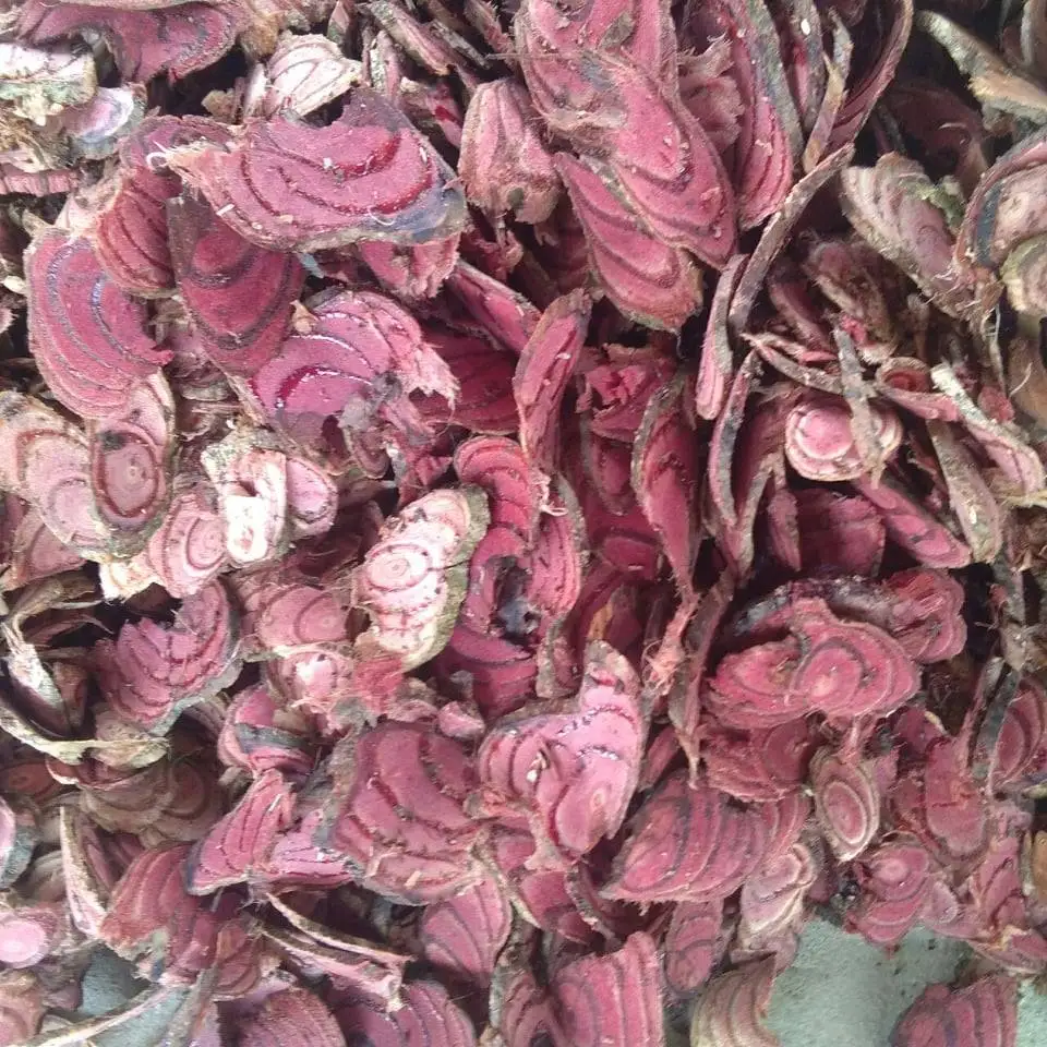 Sargentodoxa Cuneata Millettia Reticulata Benth Caulis Spatholobi