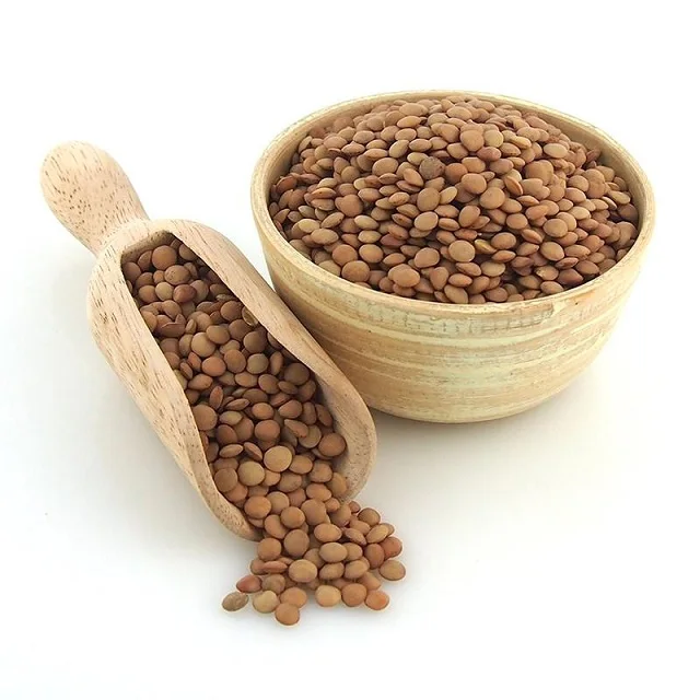 wholesale brown lentils