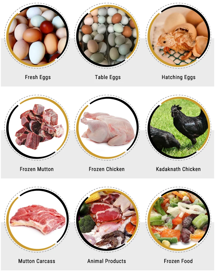 Product-Range.jpg