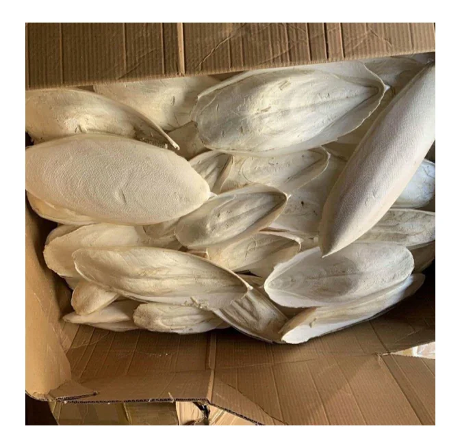 seafood from vietnam with many benefits - dried cuttlefish bone