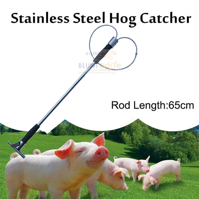 Pig Holder Hog Catcher Heavy Duty Self Locking Restraint Secure 24" Rod 