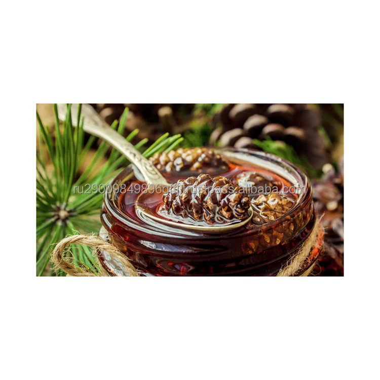 Pine Cone Jam Healthy Ingredient Vitamins Trace Elements From Karelia