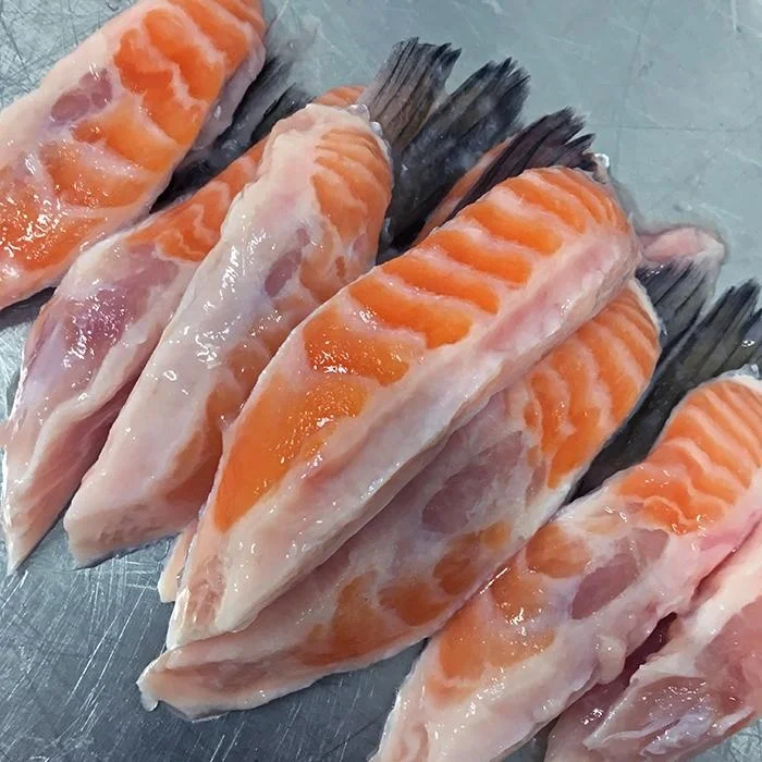 quality frozen salmon fin and belly